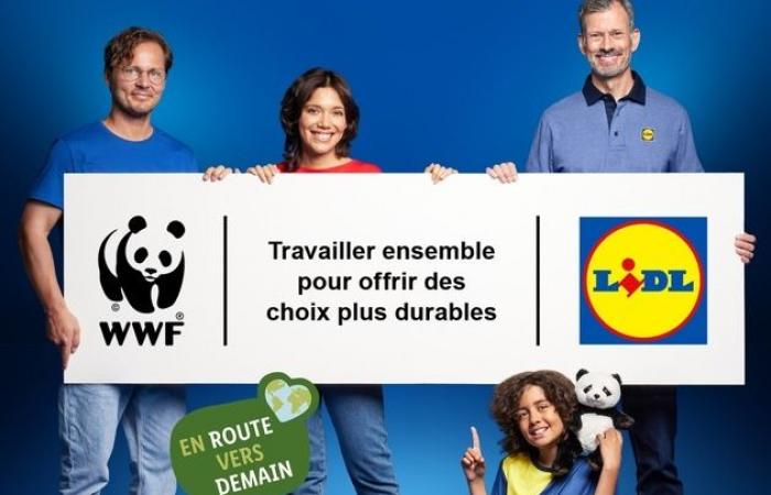 In collaborazione con il WWF, Lidl riafferma il suo impegno a…