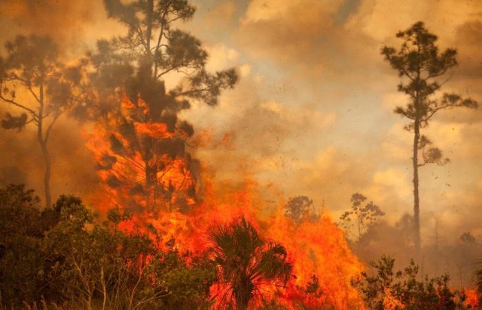 la Francia potrà raggiungere i suoi obiettivi?