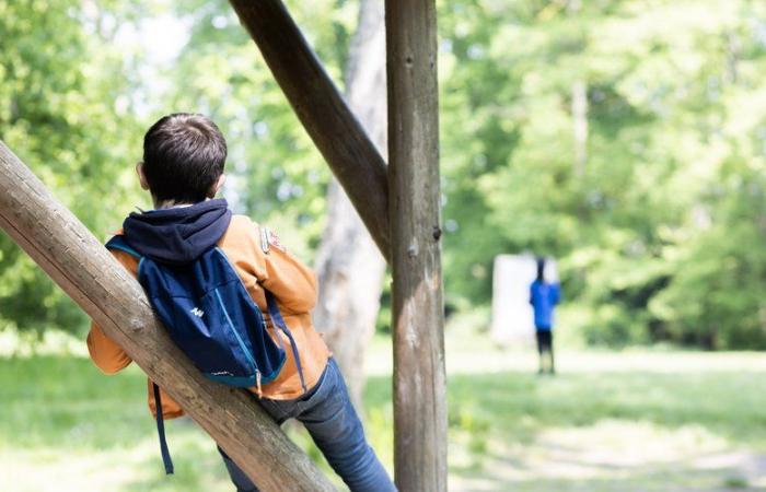 Scouts Guides de France cerca volontari