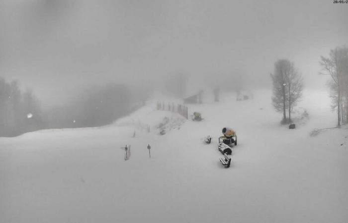 la neve ritorna questo lunedì vicino ad Aigoual, le immagini