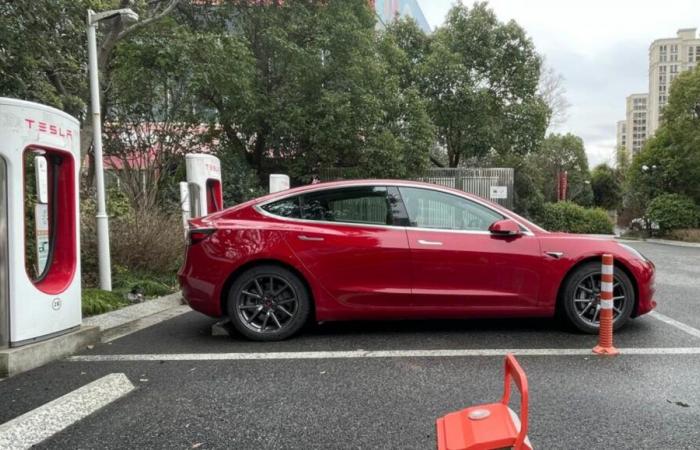 Il proprietario di questa Tesla Model 3 rivela il degrado della batteria dopo 177.000 chilometri