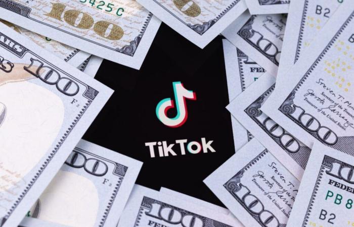 A proposito, come ti guadagni da vivere su TikTok?