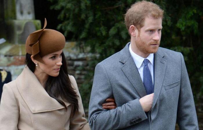 La squadra di Meghan Markle ha presentato a un editore un libro sulla sua vita “post-divorzio” con il principe Harry?