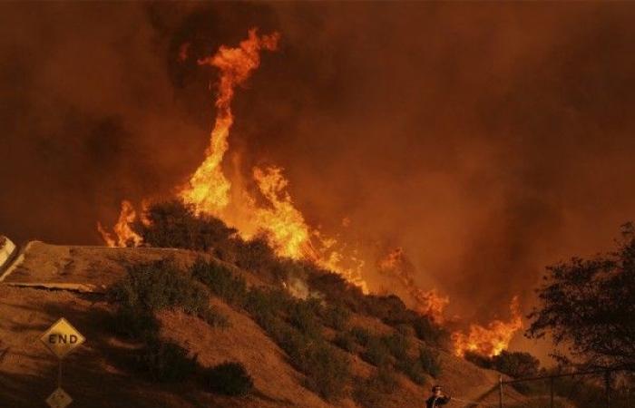 Costruire una bioeconomia circolare per rispondere alla crescente minaccia degli incendi