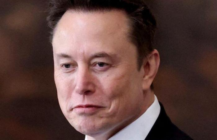 Il dipartimento di “efficienza del governo” di Elon Musk contestato in tribunale