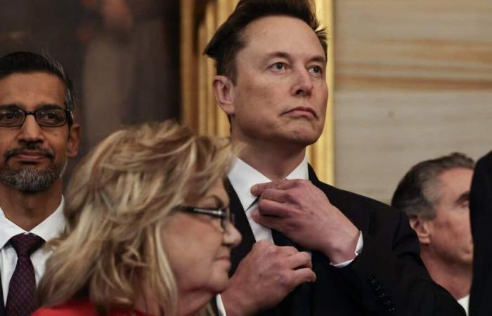 Azione legale contro la futura commissione “Efficienza governativa” di Elon Musk