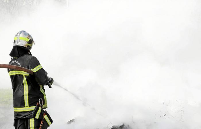 una cinquantina di vigili del fuoco stanno cercando di contenere l’incendio