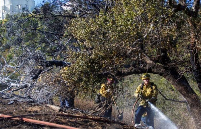 In preda agli incendi, Los Angeles teme nuovi venti “critici” – rts.ch