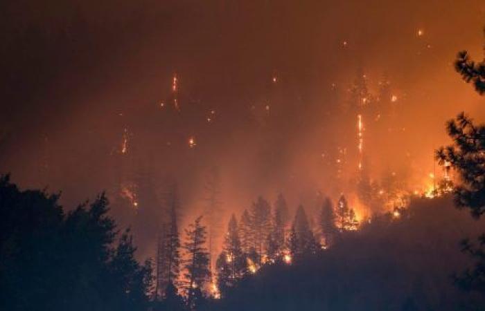 Il riscaldamento globale non causa gli incendi, ma li potenzia