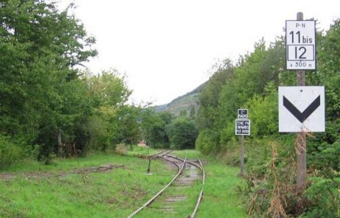 Un collettivo sta cercando di riabilitare una linea ferroviaria nell’Alto Reno, chiusa da decenni