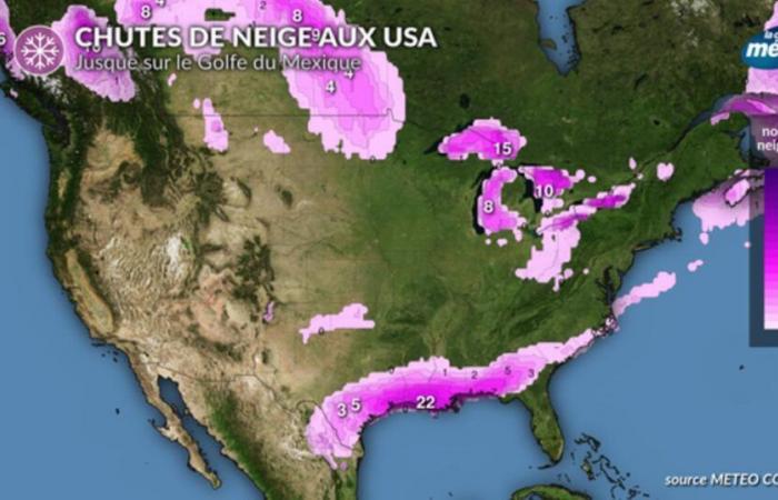 Nevicata storica sul Golfo del Messico