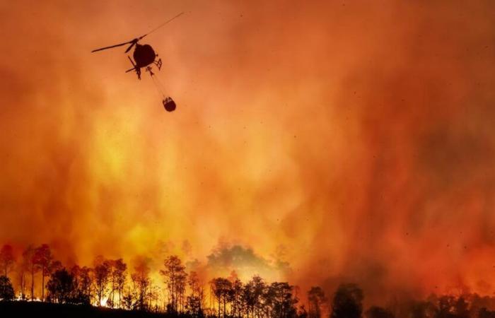 La superficie distrutta dagli incendi in Brasile è aumentata del 79% nel 2024