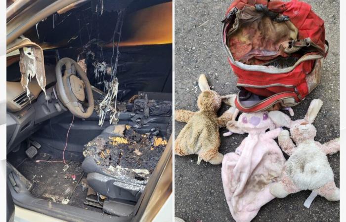 il peluche di una bambina autistica ritrovato “intatto” in un’auto bruciata