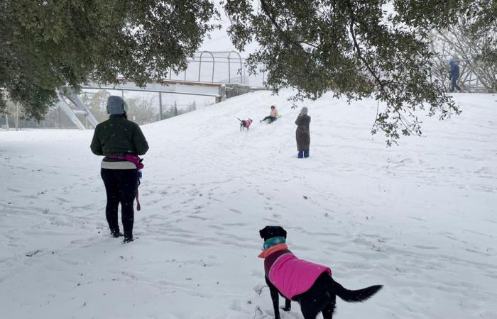 Una rara tempesta di neve colpisce il Texas