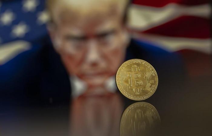 Bitcoin si prende una pausa dopo l’insediamento di Donald Trump