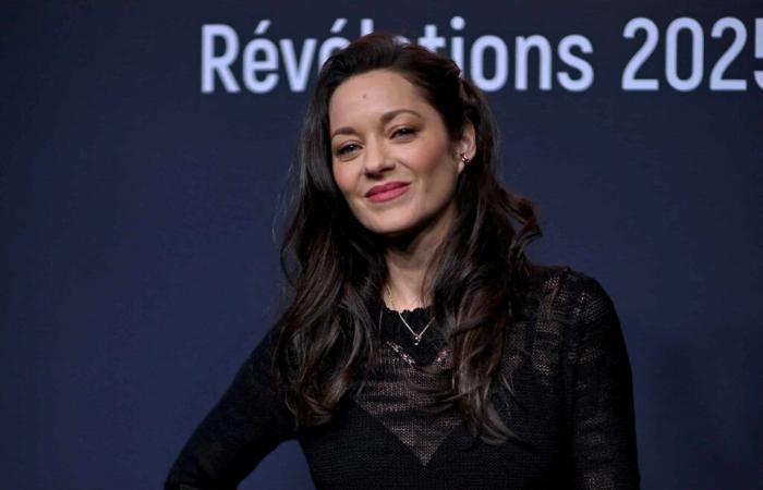 Marion Cotillard osa indossare un abito ultra trasparente dopo le rivelazioni di Guillaume Canet sulla loro relazione