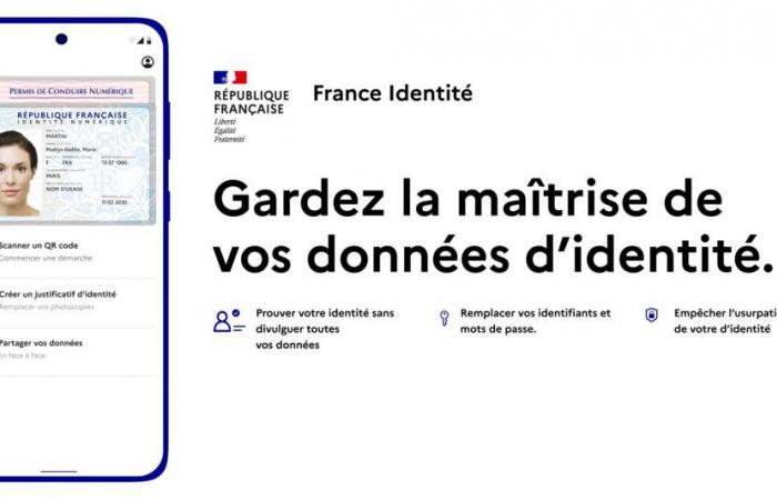 Presenta l’identità francese quando controlli il tuo biglietto di trasporto