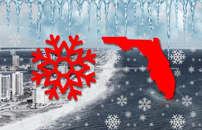 neve dal Messico alla Florida