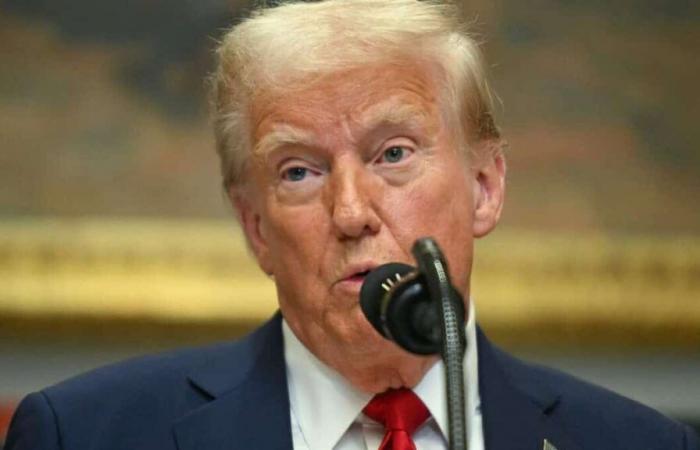 Donald Trump avverte che i paesi europei saranno soggetti a dazi doganali