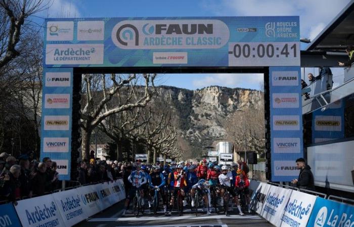 Bardet, Madouas, Lapeira, Mas, Ayuso and Hirschi poster heads