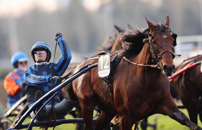 Prix ​​​​d’Amérique – Legend Race 2025: resoconti e spettacoli della settimana