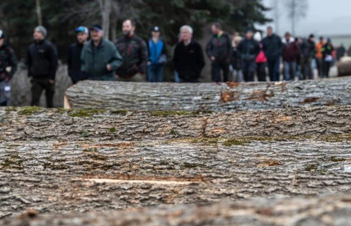 La Gruyère | Sulla buona strada per l’ottavo paletto di legno