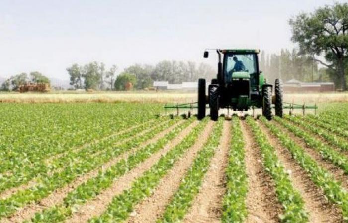 Analisi delle vendite dei nuovi trattori agricoli di AMIMA nel 2024 – AgriMaroc.ma