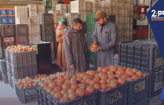 Il ministro dell’Agricoltura afferma che il governo è riuscito a controllare i prezzi della maggior parte dei prodotti alimentari – Today 24