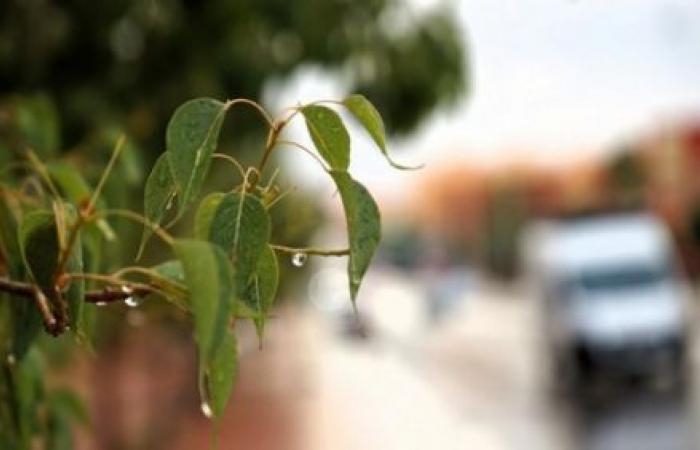 Previsioni meteo per domani, mercoledì