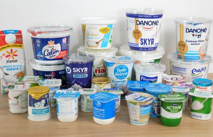 Skyr, petit-suisse… (video) – Quale latticino scegliere per la vostra salute? – Notizia