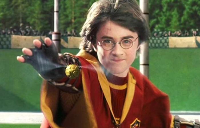 Un famoso attore della saga di Harry Potter sarà presente a Lione a febbraio