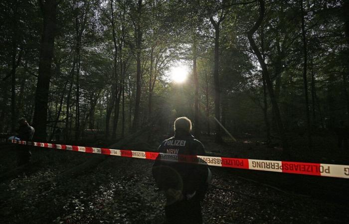 Germania: due morti, tra cui un bambino, accoltellati in un parco