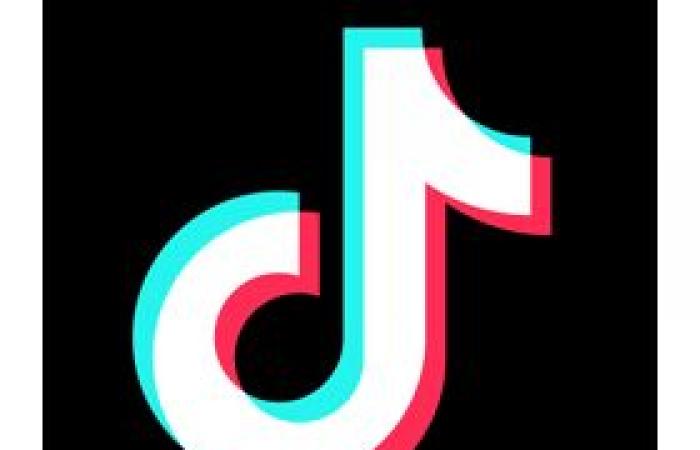 Meta pagherebbe queste somme colossali agli influencer per contrastare TikTok