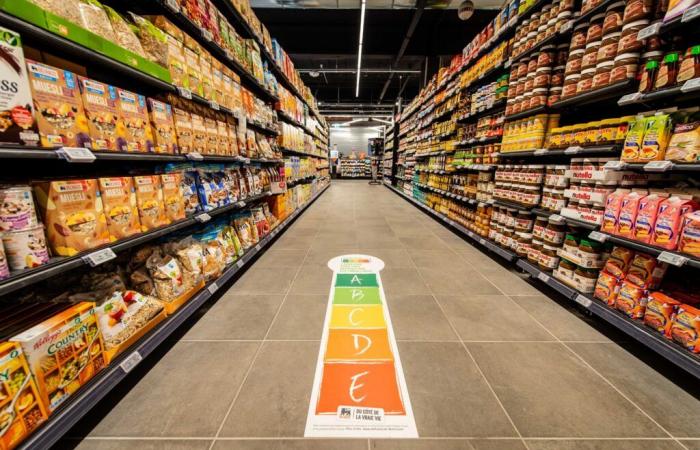 Danone e Delhaize sono all’avanguardia in materia di salute e sostenibilità, ma dobbiamo fare meglio