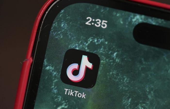 Trump favorevole all’acquisizione di TikTok da parte di Musk