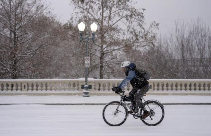 Una tempesta invernale senza precedenti paralizza la costa del Golfo con forti nevicate e ghiaccio