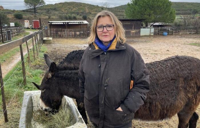 FATTO DELLA SERATA A Générac, la morte dell’asino “Pompon” getta Valérie nell’angoscia