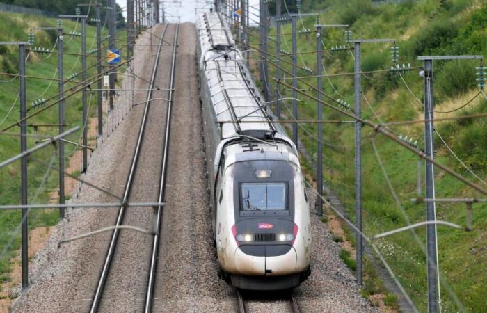 La SNCF mette in vendita i biglietti ferroviari per le vacanze di Pasqua e i ponti di maggio a partire da questo mercoledì