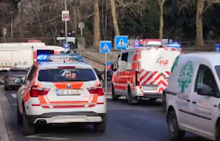 Bambino di 2 anni e uomo pugnalati a morte nel parco