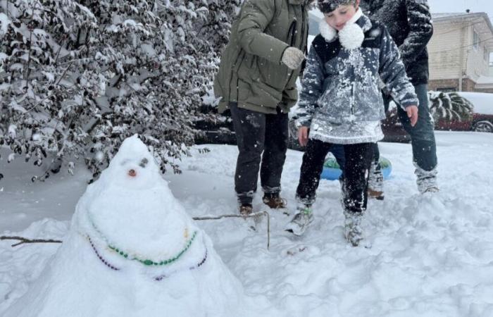 Una rara tempesta invernale seppellisce il sud della Louisiana sotto la neve, interrompendo la vita di tutti i giorni