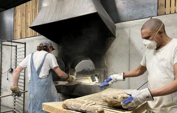 Nella Côtes-d’Armor, questa panetteria atipica prepara il pane alla vecchia maniera