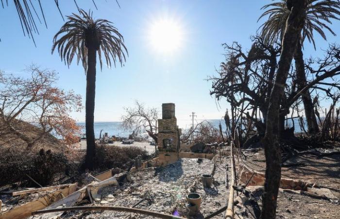 a Los Angeles il panico delle vittime degli incendi non assicurati