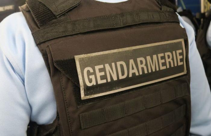 Una coppia presa in custodia dalla polizia dopo la morte del loro bambino vicino a Bourges