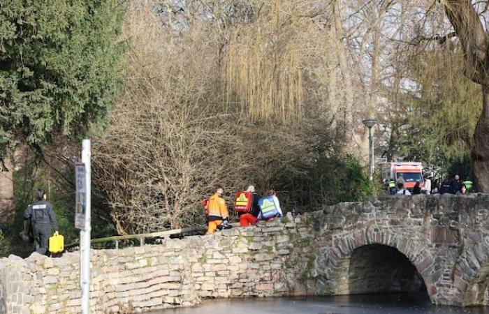 due morti tra cui un bambino dopo un’aggressione in un parco