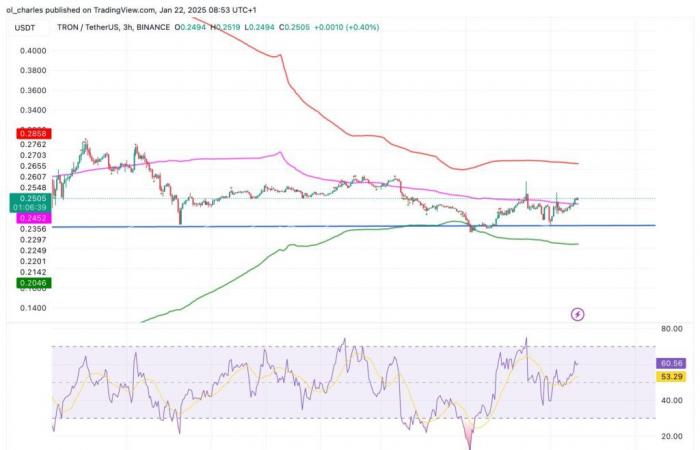 Tron (TRX) accelera grazie a Trump: esplosione in vista?