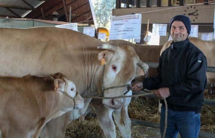 una Principessa, un Visconte e Pin Pon in viaggio verso la Mostra dell’Agricoltura