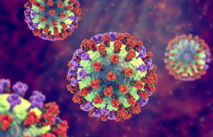 quando sarà possibile ricreare il virus dell’influenza spagnola