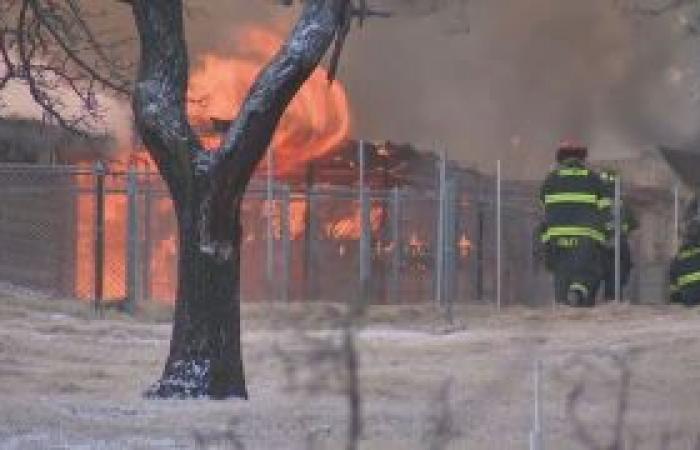 Il proprietario di un rifugio per cani devastato dal fuoco affronta il pericolo per salvare decine di cani