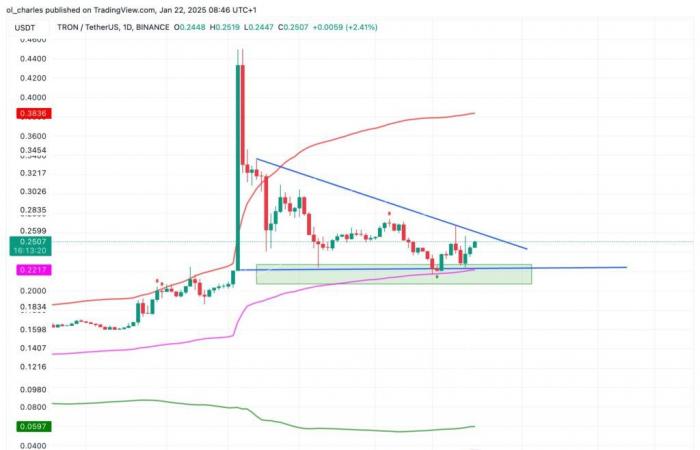 Tron (TRX) accelera grazie a Trump: esplosione in vista?