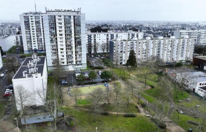 Omicidio di Denis a Lorient: il sospettato è stato ascoltato in un altro caso per tentato omicidio